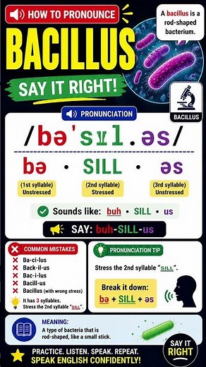 BACILLUS #howtopronounce #englishpronunciation