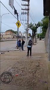 24K views · 585 reactions | Un pibito robando cables en familia y la flaca defendiéndolo con el discursito kuka: "e', lo' derecho del niño" Está difícil, loco. El kirchnerismo legitimó el choreo durante 20 años. La batalla recién empieza. | Kukas llorando por Milei | Facebook