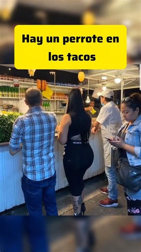 Humor #parati #popular #viralvideo #shorts #viralvideos #short #humor #comedia #viralshorts #2026