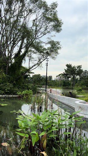Ming Zhao (@ming.zhao1)’s videos with 原声 - Ming Zhao