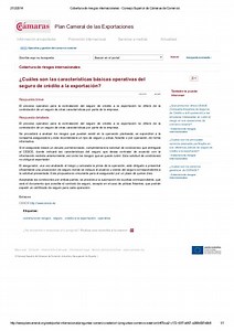 El Seguro De Crédito A La Exportación