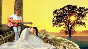 22K views · 189 reactions | youtube.com/@THIENVU911 | Thiên Vũ Guitar | Facebook