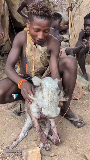 Why These Tribes Protect This Dangerous Animal #shorts #africa #tribalunity #tribalculture