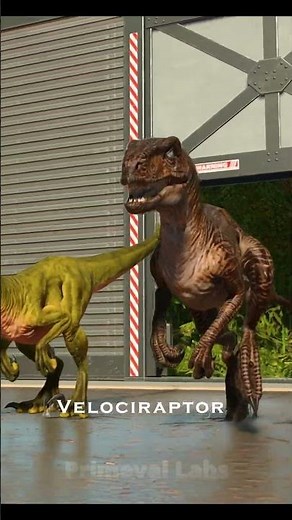 🔥 Can 3 Velociraptor Defeat T-Rex?