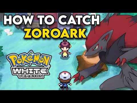 Pokemon White Part 24 – How To Catch Zoroark