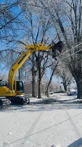 If anyone is looking for tree removals or moving debris from the winter storm feel free to contact us. We are available and will be serving Drew and surrounding areas. | Jose & Son Construction LLC