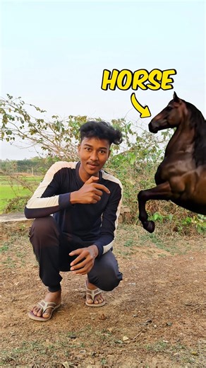 Can I Jump Higher Than a Horse ? 🤔 #minivlog #ytshorts #rajbhaix