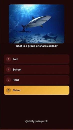 🦈 Shark Quiz (Hard) - The Ultimate Challenge!
