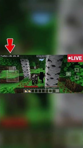 Run Until I Hit 0,0,0 coordinates(Challenge)