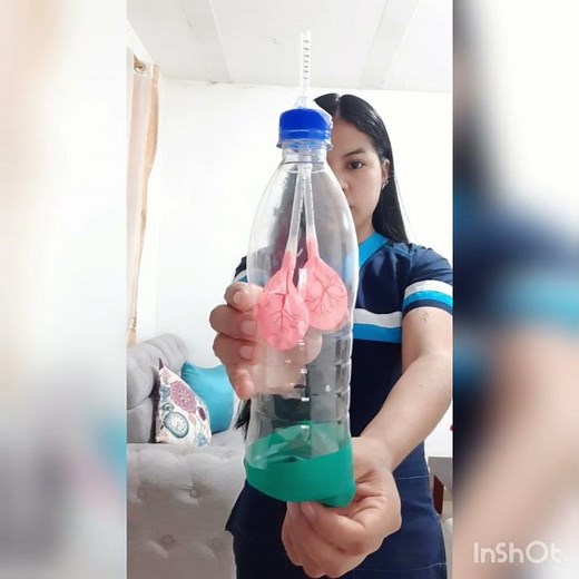 Experimento pulmones con globos y botella plástica (Leer descripción)
