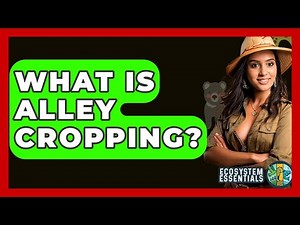 What Is Alley Cropping? - Ecosystem Essentials