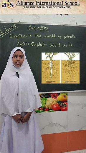 Root Systems: The Secret Life of Plants