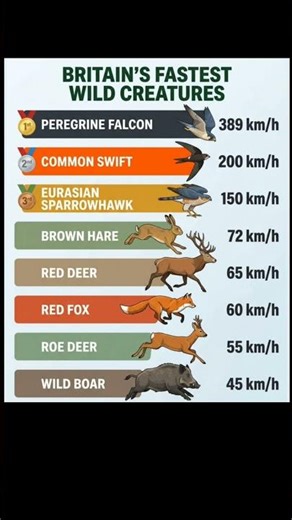 Eight of Britain's fastest wild animals #animals #shorts #singh2m