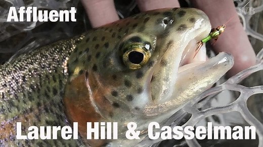 DIY Guide to Fly Fishing Laurel Hill Creek in Southwest Pennsylvania | DIY Fly Fishing