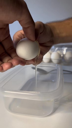 recognizing rotten eggs with a flashlight - Part 02_298 | Edward J. Compton