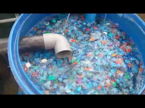 A mini RAS - Resirculation Aquaculture System