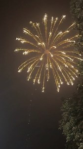 133K views · 2.3K reactions | Golden sparkle ✨ ✨ #fireworks #crackers #experiment #pyro #Fireworks2024 | Cracker Boi | Facebook