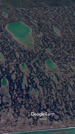 The Florida Everglades is a vast subtropical wetland ecosystem covering approximately 1.5 million acres in southern Florida, often called a “river of grass” due to its slow-moving sheet of water flowing through sawgrass marshes. This unique wilderness supports an incredible diversity of wildlife, including alligators, panthers, manatees, and hundreds of bird species, many of which are threatened or endangered. The Everglades serves as a critical water source for millions of Floridians while faci