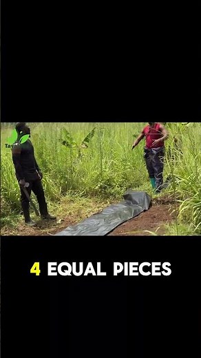 DIY Silage: Boost Livestock Feed with This Simple Technique