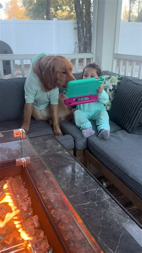 Matching Outfits for Dogs and Their Owners