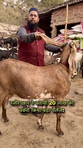 1M views · 23K reactions | नज़ीर ख़ान ने बतायी 20 लाख की बकरी किया बड़ा चैलेंज! | Farming baba | Facebook