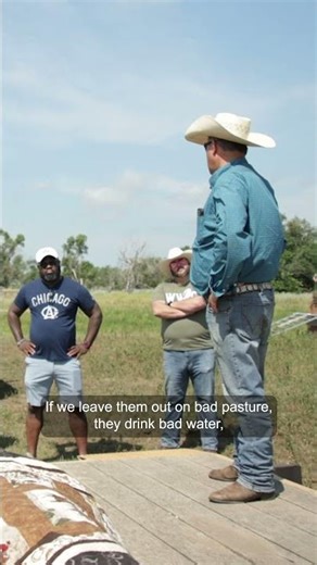 Around the Fire: At the Ranch