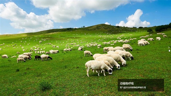 【化学】氧气的用途