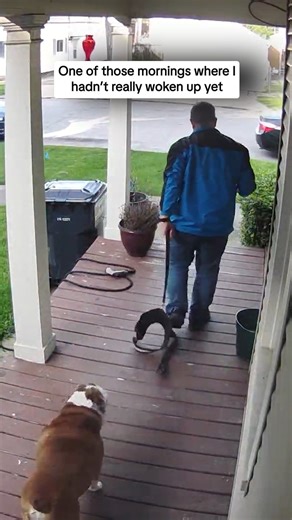 America's Funniest Home Videos on Instagram: "He's a good boy for not bolting 😌 #afv #fail #funny"