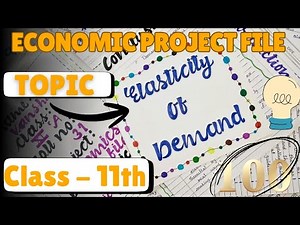 Elasticity of Demand Economic project file for class 11/#project #economics