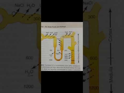 Important mcqs and hyperosmolarity of medullary interstitium physiology