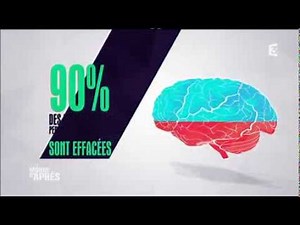 Fonctionnement de la mémoire