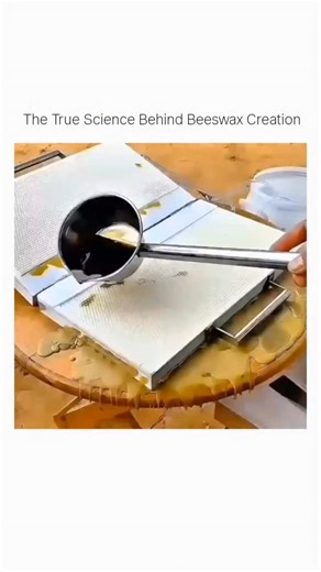 Meets science on Instagram: "Beeswax isn’t manufactured — it’s created by nature itself. 🐝 Worker bees secrete wax from special glands, shaping it into perfect honeycombs with incredible precision. This video shows the realistic and natural process of how beeswax is formed, from inside the hive to its final use. A true example of nature’s hidden science at work. 🍯✨ . . #naturescience #hiddenscience #amazingnature #beelife #trending"