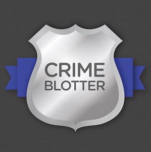 Daily Crime Update