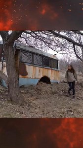 1.9M views · 20K reactions | Abandoned bus turned to survival shelter ️ #hottentcamping #offgridcabin #bush #ecobuild #cabin #logcabin #keepcraftalive #CabinDesign #bushcraft #wilderness | Bonfire 2.0 | Facebook