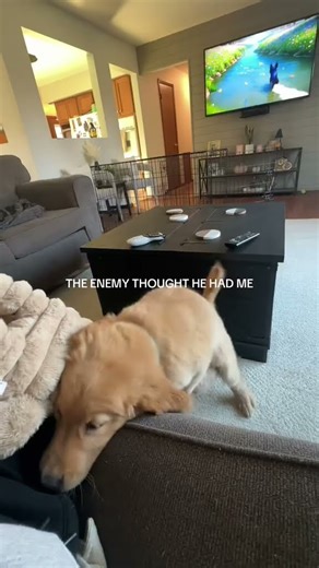 He tried to break you, but Jesus made you unbreakable