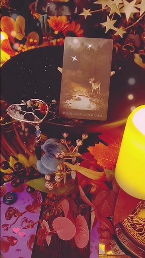 ❤️ ALL SIGNS - "REMEMBER - THIS MESSAGE WAS MEANT TO FIND YOU,...!!! BABA J.'S SHORTS'' ❤️