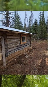 966K views · 10K reactions | Cozy little cabin in the forest  -Kyle #hottentcamping #offgridcabin #bush #forest #naturelovers #cabin #logcabin #survival #offgrid #outdoor | Bonfire 2.0 | Facebook