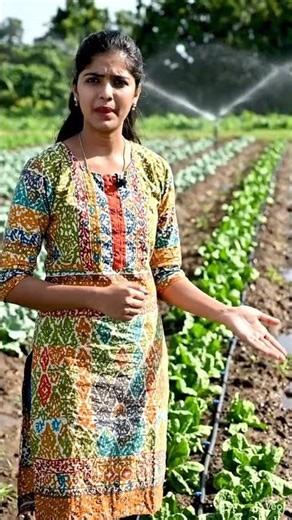 “Every drop counts — Drip Irrigation saves water while nourishing crops efficiently! 💧🌿”