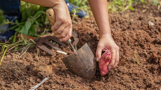 ‘Government hasn’t listened’: National Farmers’ Federation slams workers scheme changes