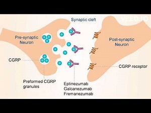 Fremanezumab's mechanism of action