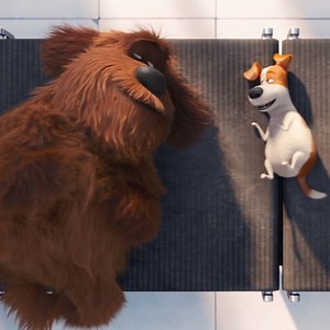 Take it from Duke and Max, food is the best way to make new friends. | The Secret Life Of Pets
