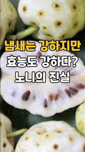 냄새는 강하지만, 효능도 강하다? 노니의 진실 #노니효능 #건강정보 #중년건강 #당뇨 #치매