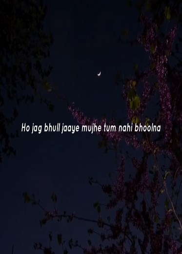 Ho Jag Bhul Jaaye Mujhe Tum Nahi Bhoolna — Lyrics Video