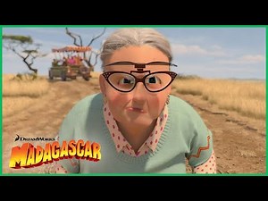 A Vovó Quer Brigar! 🥊 | DreamWorks Madagascar em Português