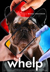 Whelp - movie: where to watch stream online