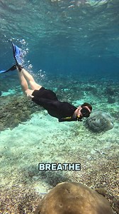 12K views · 149 reactions | The only tank you need 麗錄 #fyp #diving #scuba #watersport #ocean #underwater | Lung Tank | Facebook