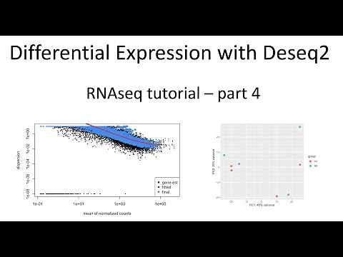 RNAseq tutorial – part 4 – Differential expression analysis with Deseq2