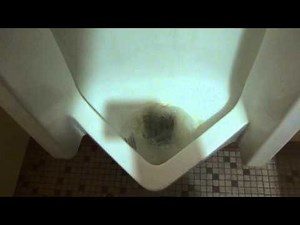 Bathroom Tour: country inn fredericksburg with Vintage American Standard fixtures