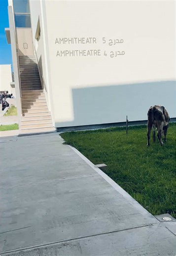 El Jadida: Discovering the Charm of Morocco's Coastal Town