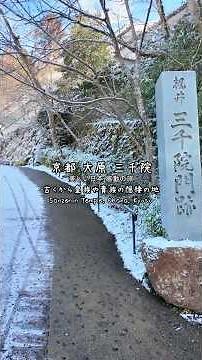 [Ohara Sanzen-in Temple, Kyoto] A beautiful garden covered in snow #shots